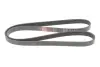 Ремінь генератора Citroen Berlingo/Peugeot Bipper/Partner (6PK1560/1565) Gates 6PK1565 (фото 1)