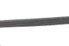 Ремінь генератора Citroen Berlingo/Peugeot Bipper/Partner (6PK1560/1565) Gates 6PK1565 (фото 3)