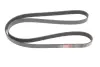 Ремінь генератора Opel Meriva A 1.7CDTi 03-10 Gates 6PK1595 (фото 1)