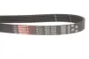 Ремінь генератора Opel Astra 1.7CDTi 03-/Renault Megane/Laguna 1.9-3.0 97-03 Gates 6PK1605 (фото 2)
