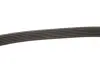 Ремінь генератора Opel Astra 1.7CDTi 03-/Renault Megane/Laguna 1.9-3.0 97-03 Gates 6PK1605 (фото 3)