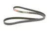 Ремінь генератора Opel Astra J/K/Insignia A/B/Ford Escort/Fiesta 1.4/1.6/1.6CDTI 90- Gates 6PK1633 (фото 2)