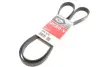 Ремінь генератора Fiat Ducato 2.2/Ford Transit 2.2/Opel Combo 1.3 CDTI 06- GATES 6PK1670 6PK1670
