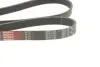 Ремінь генератора BMW 3 (E90-E93)/X1 (E84) 3.2D 07-11 N47 D20 Gates 6PK1780 (фото 2)