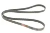 Ремінь генератора BMW 3 (E90-E93)/X1 (E84) 3.2D 07-11 N47 D20 Gates 6PK1780 (фото 4)