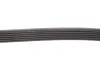 Ремінь генератора Audi A4/A6 2.4 97-05/Jeep Cherokee 2.5 86-90 Gates 6PK1855 (фото 3)