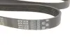 Ремінь генератора Infiniti FX/M45/Lexus GS/Mitsubishi Outlander 1.8-4.5 93- Gates 6PK1938 (фото 4)