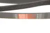 Ремінь генератора Infiniti FX/M45/Lexus GS/Mitsubishi Outlander 1.8-4.5 93- Gates 6PK1938 (фото 5)