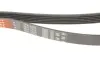 Ремінь генератора MB E-class (W124/W211)/M-class (W164) 03-12 M104 Gates 6PK2358 (фото 4)