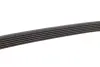 Ремінь генератора Audi A4/A5/A6 3.0 TDI/3.2 FSI 05-/MB E-class (W124/S124) 2.8-3.0T 93-96 M104/M103 Gates 6PK2413 (фото 2)