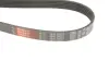Ремінь генератора Jeep Grand Cherokee II 2.7 CRD 01-05 Gates 6PK2603 (фото 4)
