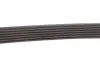 Ремінь генератора VW Caddy III 1.4/1.6 04-/Golf/Polo 1.2/1.4TSI 12-/Audi A3 1.2/1.4TFSI 13- Gates 6PK743 (фото 3)