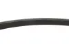 Ремінь генератора Citroen C4/C5 14-/Renault Kangoo/Clio 1.9D 97- Gates 6PK893XS (фото 4)