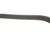 Ремінь генератора VW Golf/Skoda Octavia 2.0i 04-13/Mazda 2/3 1.5 13-/Kia Ceed/Cerato 1.4/1.6 07- Gates 6PK955 (фото 4)