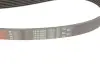 Ремінь генератора Ford Scorpio II/Toyota Camry 2.4i/3.5i 94- Gates 7PK1905 (фото 4)