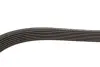 Ремінь генератора Toyota Camry/Avensis/RAV4 2.0/2.4 00-/Land Cruiser Prado 3.0D 00- Gates 7PK1933 (фото 4)