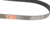Ремінь генератора Mazda 3/5/6 2.0 DI/CD 02-10 Gates 8PK1225 (фото 2)