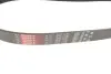 Ремінь генератора Mazda MPV II 2.0D 02-06 Gates 8PK1230 (фото 2)