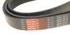 Ремінь генератора Toyota Land Cruiser 4.6 V8 10- Gates 8PK2410 (фото 5)