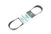 Ремінь генератора Man TGA 00-/ E2000 95-00 (8PK880) Gates 8PK880HD (фото 2)