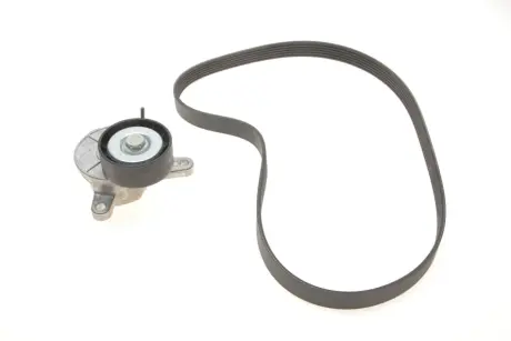 Комплект ременя генератора VW Caddy IV 2.0 TDI 15- (6PK1025) Gates K016PK1025