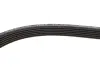 Комплект ременя генератора VW T5 1.9 TDI 03-09 (6DPK1195) Gates K026DPK1195 (фото 3)