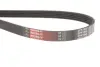 Комплект ременя генератора Opel Astra G/H/Corsa D/E/Meriva A/Vectra C 1.6-1.8 00- Gates K055PK1545 (фото 6)