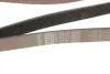 Ремінь генератора BMW 5 (F10/F11)/X3 (F25) 09-13 (N52/N53) (8PK1784) Gates K080702 (фото 5)