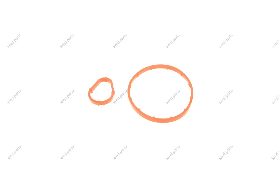 Прокладка насоса вакуумного Citroen Berlingo/Jumpy/Peugeot Partner/Expert 2.0/2.2 HDi 02- (к-кт) GAZO GZ-A1874 (фото 1)