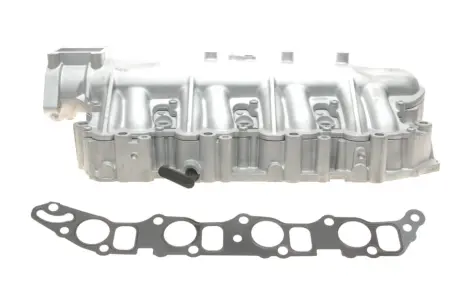 Впускной коллектор Opel Astra H/Vectra C 1.9CDTI 04-10 (с прокладкой) GAZO GZ-E1078