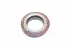 Сальник КПП Chevrolet Epica 04-06, Chevrolet Lacetti 04-13, Daewoo Nubira 03-05 GM 25187787 (фото 4)
