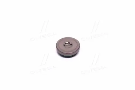 Пробка ДВЗ Opel Astra H 04-14, Opel Vectra C 02-08 GM 55557288