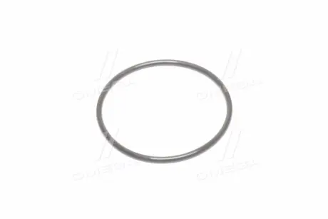 Кольцо уплотнительное GENERAL MOTORS GM 96183170