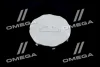 Ковпак маточини литого диска GM 96209792 (фото 3)