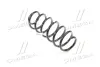 Пружина (вір-во) GM 96626321 (фото 1)