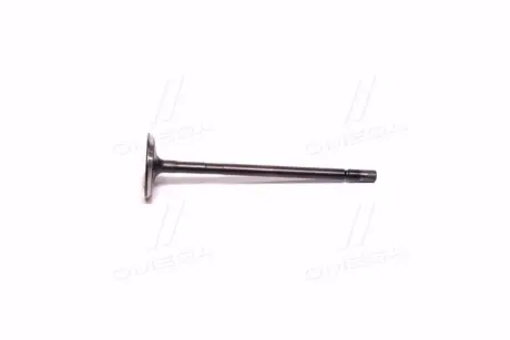 Клапан Авео Т300/Ravon R4 впуск (1шт) GM 96935785