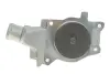 Помпа води Ford Fiesta II/III/Escort III/IV/V/VI/VII 1.3/1.4/1.6 81-00 (20z) (B/B) (8 лоп.) GRAF PA321 (фото 3)