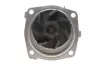 Помпа води Jeep Cherokee 2.5/2.5-3.1 TD 90-01/Ford Scorpio 2.5 TD 94-98 (R/B) (7 лоп) (без кришки) GRAF PA802 (фото 4)