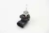 Лампа розжарювання STANDARD HB3 12V 60 (65W) P20d HELLA 8GH005635121 (фото 1)