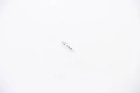 Лампа розжарювання W1,2W 12V 1,2W W2x4,6d HELLA 8GP002095121