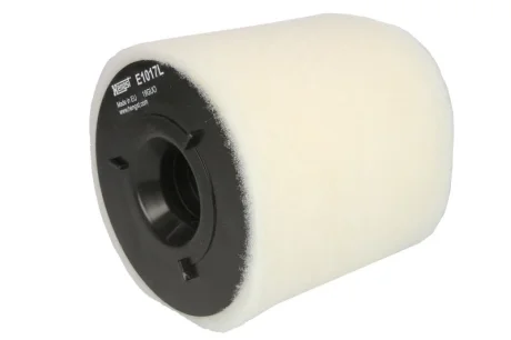Повітряний фільтр HENG HENGST FILTER E1017L