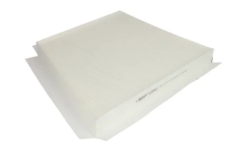 Фільтр салону HENG HENGST FILTER E989LI