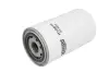 Масляний фільтр HENG HENGST FILTER H19W10 (фото 1)