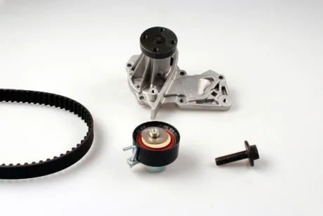 Комплект ГРМ + помпа Ford Mondeo/C-Max/Focus 1.5/1.6 EcoBoost 10-(117x22)(помпа P255) HEPU PK02551