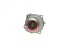 Комплект ГРМ + помпа Audi/Seat/Skoda/WV 1.6 95- HD HEPU PK05720 (фото 6)