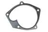 Комплект ГРМ + помпа Renault Kangoo 1.5dCi 01- (z=123) HEPU PK09580 (фото 12)