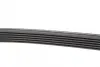 Ремінь генератора Ford Fiesta VI 1.25 08- (6PK1024) HUTCHINSON 1024 SK 6 (фото 2)
