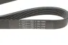 Ремінь генератора BMW 3 (E90)/Opel Movano 2.0i/2.5DTI 03- (7PK1099) HUTCHINSON 1099 K 7 (фото 5)