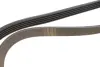 Ремінь генератора Renault Kangoo 1.4i 98-/ 1.6i 02- (5PK1110) HUTCHINSON 1110 K 5 (фото 3)