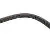 Ремінь генератора Renault Kangoo 1.4i 98-/ 1.6i 02- (5PK1110) HUTCHINSON 1110 K 5 (фото 4)